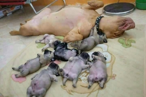 【孩子，是父母的縮影&hellip;】