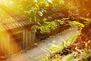 【相信「愛」存在】