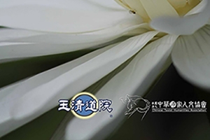 【溫柔的心善待自己】