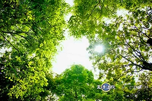 【你沒錯！】