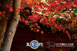 【說好的幸福呢？】