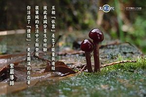 【互相】