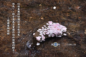 【從沒消失】