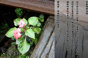 【放下以往的故事】