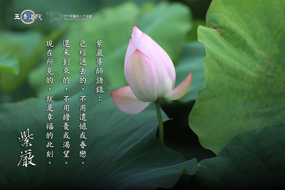 【過去、現在、未來】