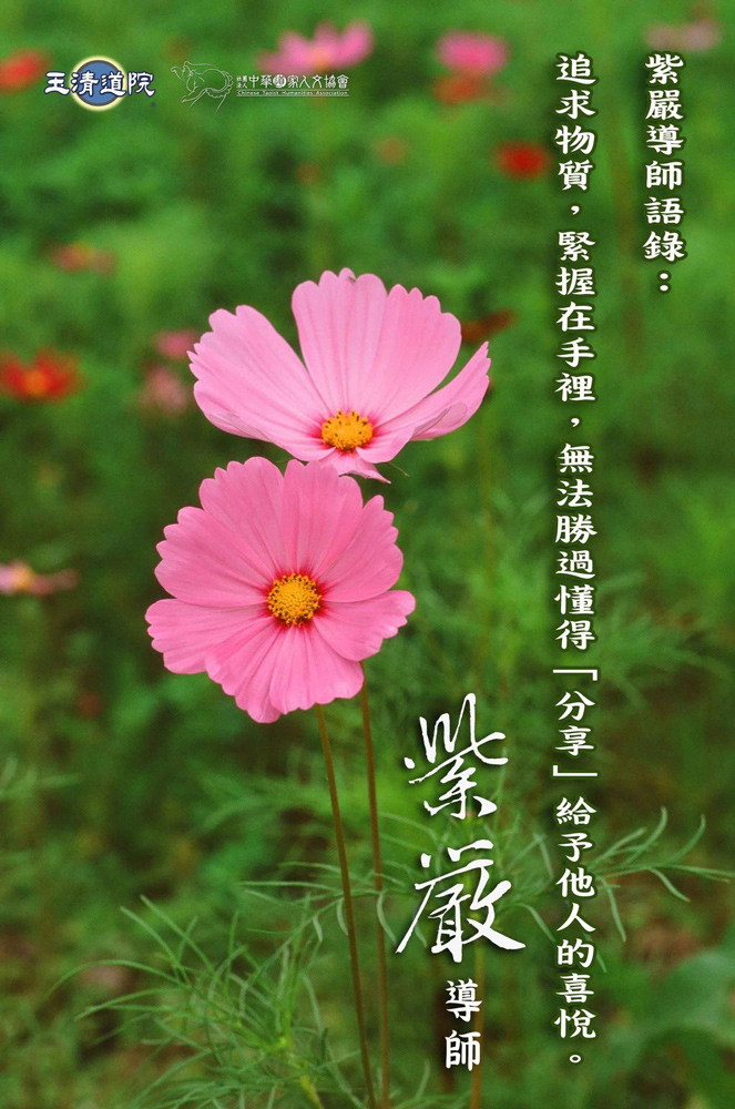 【分享的喜悅】 